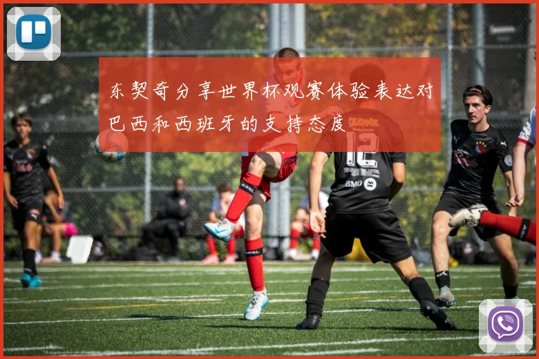 东契奇分享世界杯观赛体验表达对巴西和西班牙的支持态度