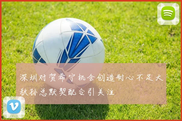 深圳对贺希宁机会创造耐心不足大秋孙总默契配合引关注